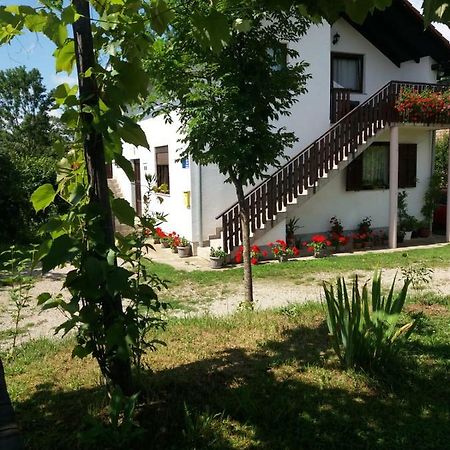 Apartment Manda Rakovica Exteriér fotografie