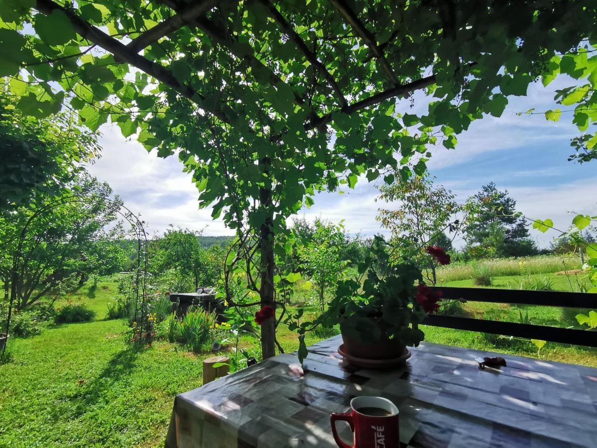Apartment Manda Rakovica Exteriér fotografie