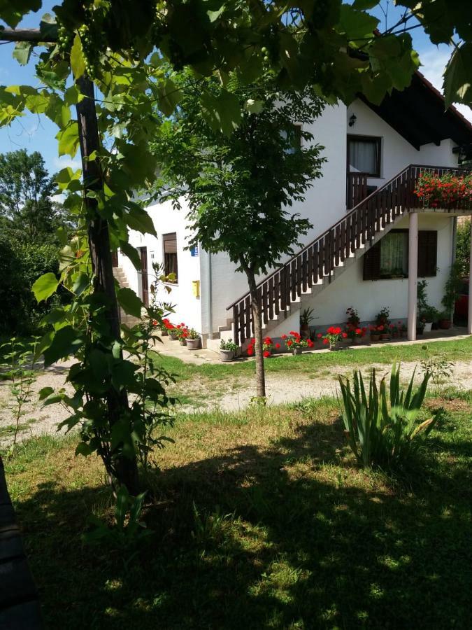 Apartment Manda Rakovica Exteriér fotografie